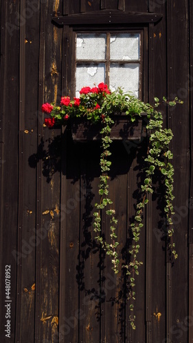 Stare okno na drewnianej ścianie z kwiatami w doniczce, Dolny Śląsk, Polska