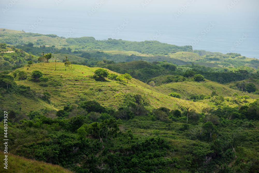Beautiful green slopes on the island of Nusa Penida