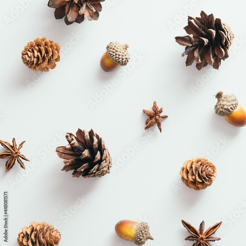 Pine cones and acorns on white background. Autumn pattern.