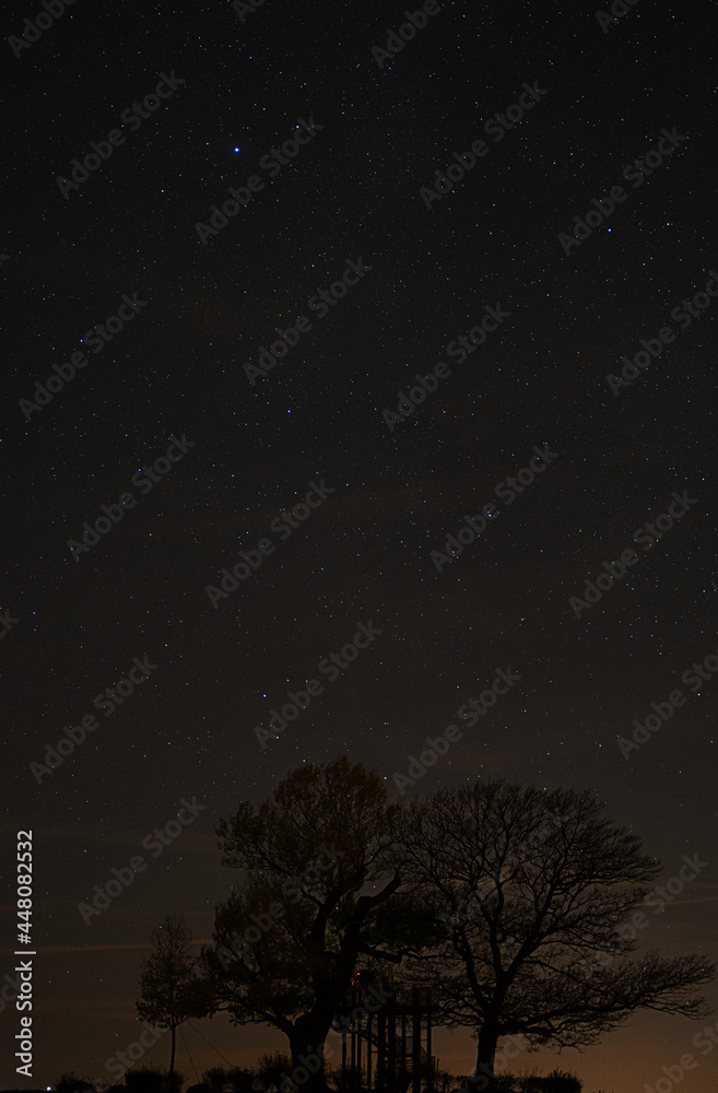 tree and stars