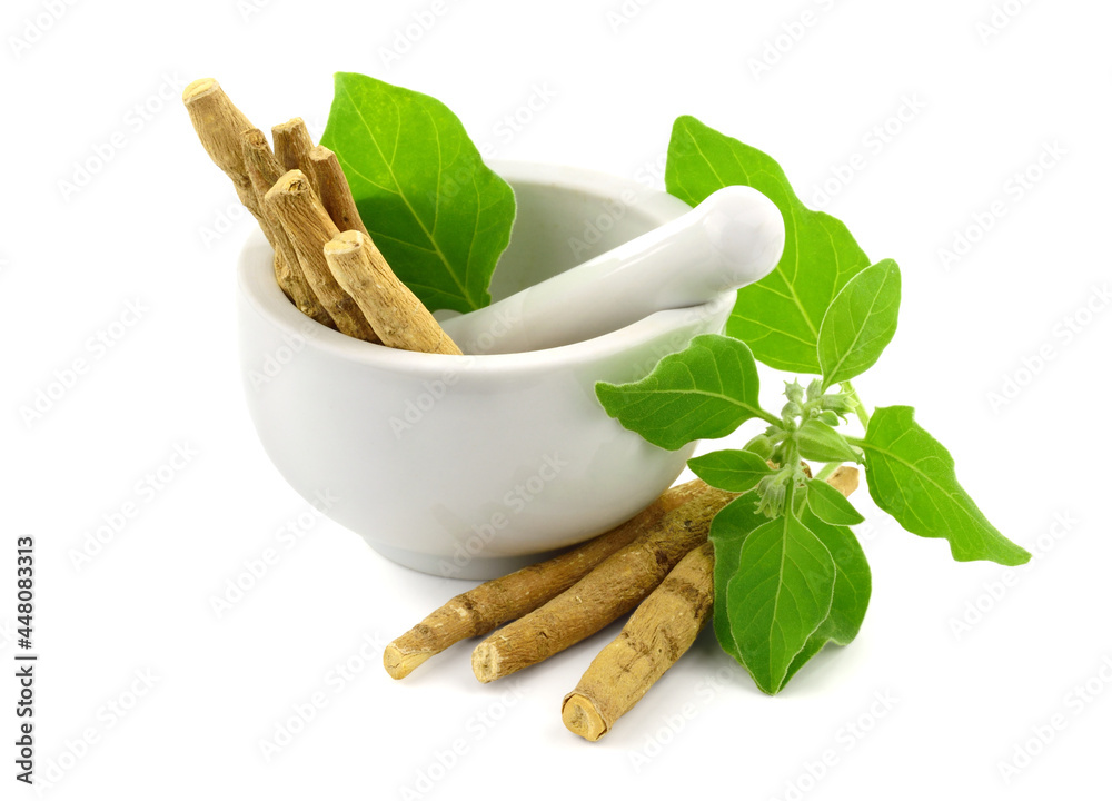 Ashwagandha Dry Root Medicinal Herb in a Grinding Bowl with Green