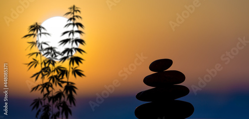 cannabis plant on a background of sunset and orange sky