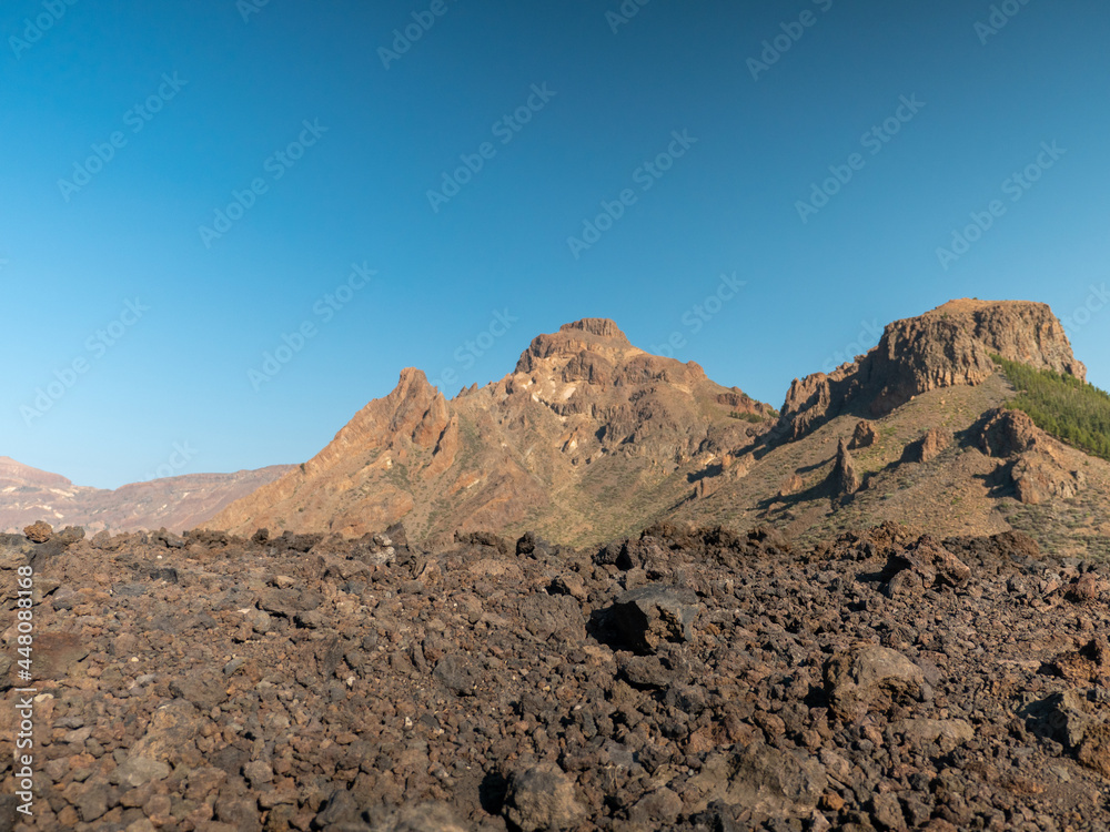 Tenerife, Teide volcano, mountain, Teide national park. Forests and mountains above the clouds.