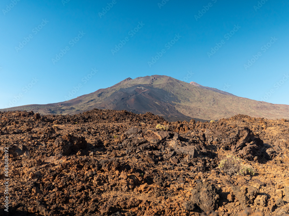 Tenerife, Teide volcano, mountain, Teide national park. Forests and mountains above the clouds.