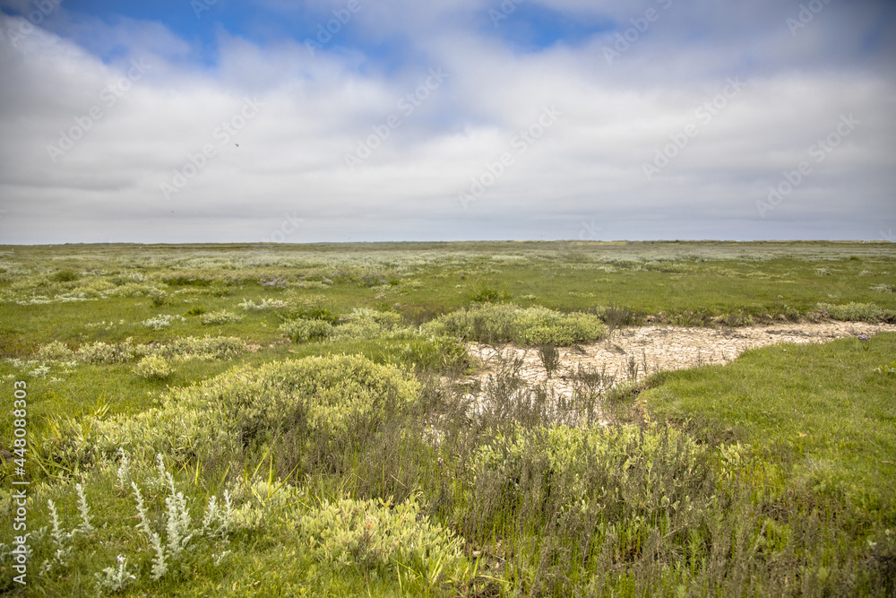 Tidal marshland Ameland