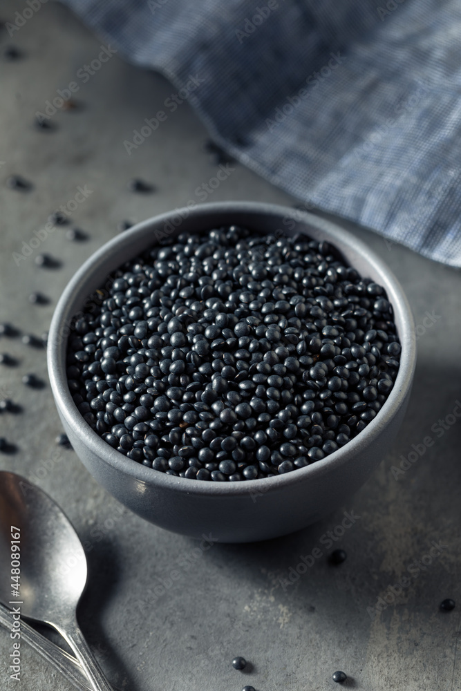 Healthy Organic Black Lentils