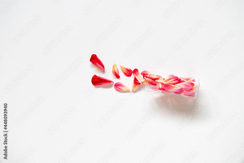 Flower bottle Flower bottle