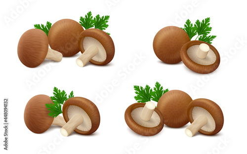 Groups of fresh shiitake mushrooms with green leaves of parsley isolated on white background. Realistic vector illustration. 