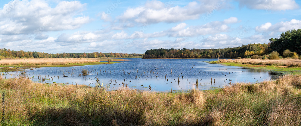 Panorama of lake, peat bog, moorgrass in national park Dwingelderverld, Drenthe, Netherlands
