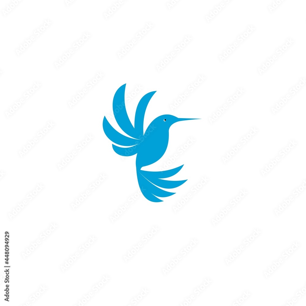 hummingbird logo design concept template white background vector illustration
