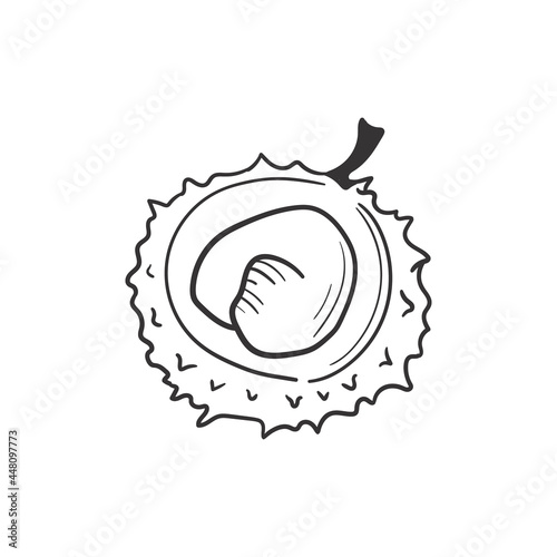 Hand drawn autumn chestnut doodle colorless illustrations. Сute vector objects.  Illustrations for poster, background or card.