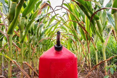 Fuel tank in corn field, representing ethanol biofuel