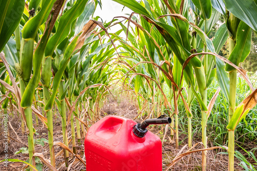 Fuel tank in corn field, representing ethanol biofuel photo