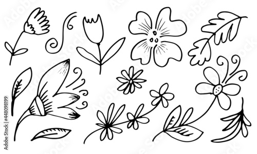 a collection of hand-drawn flower images such as bellflower, chrysanthemums, sunflowers, cotton flowers, and tropical leaves