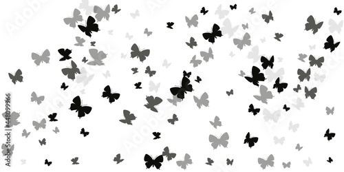 Fairy black butterflies abstract vector illustration. Summer colorful insects. Fancy butterflies abstract kids background. Gentle wings moths patten. Tropical creatures.
