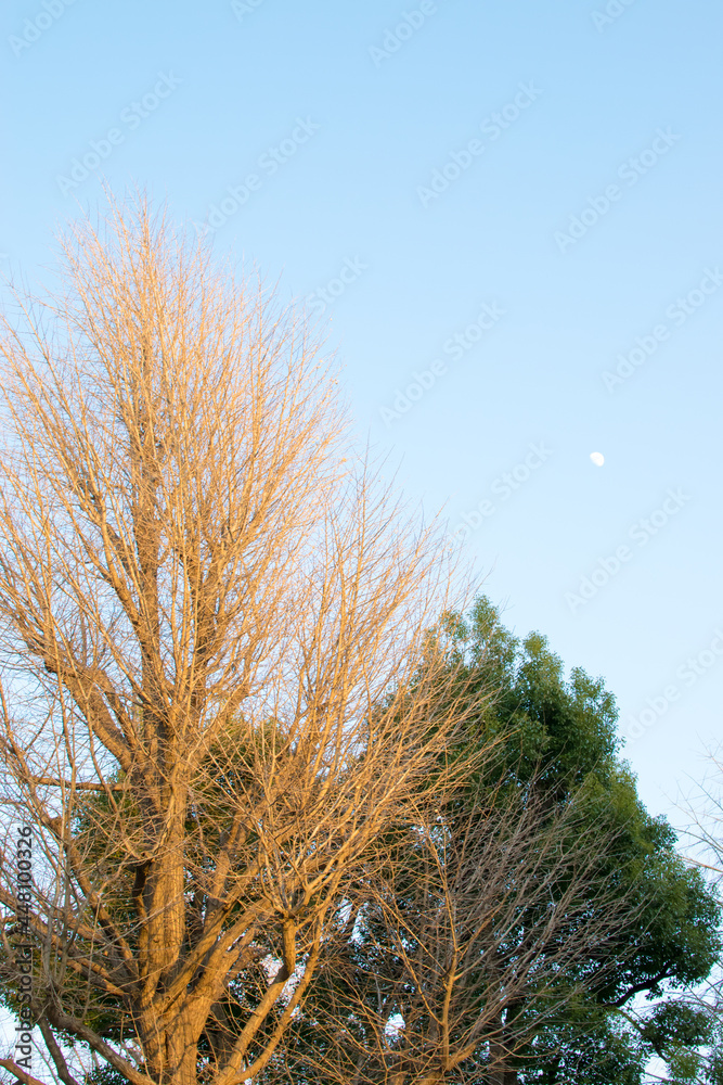 A photo of the blue sky where you can see the moon in the daytime A photo of the blue sky where you can see the moon in the daytime