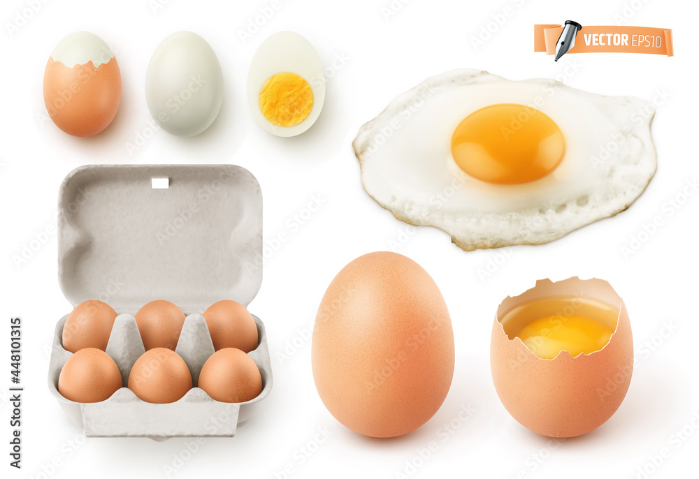 Oeufs vectoriels sur fond blanc