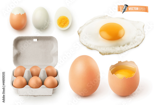 Oeufs vectoriels sur fond blanc