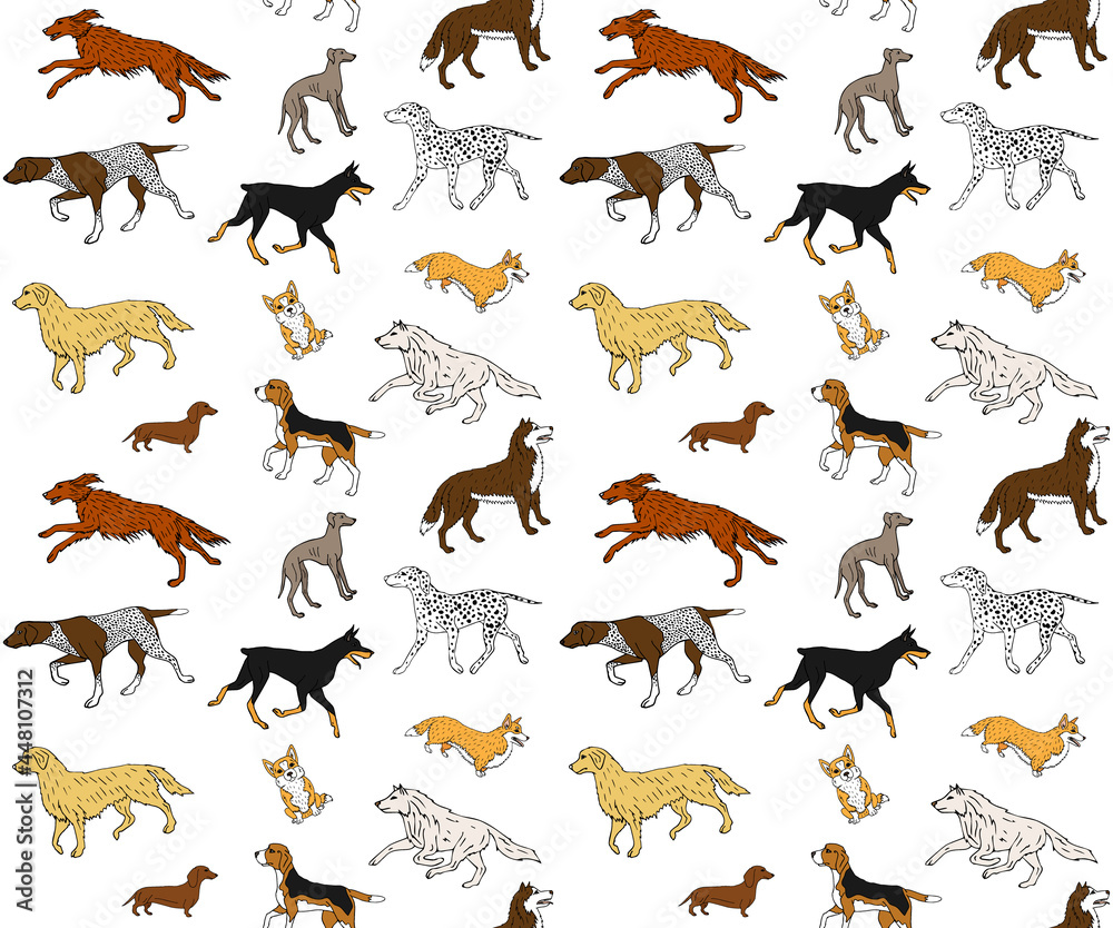 Vector seamless pattern of hand drawn doodle sketch colored different dog breed isolated on white background