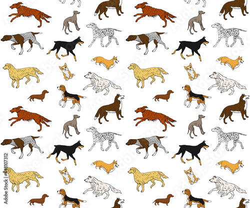 Fototapeta Naklejka Na Ścianę i Meble -  Vector seamless pattern of hand drawn doodle sketch colored different dog breed isolated on white background