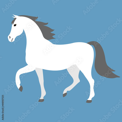 Vector flat cartoon white horse isolated on blue background