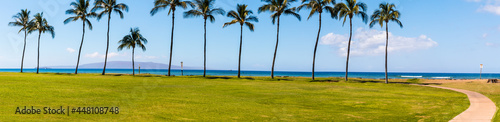 Coconut Palm Trees Line The Shore of Kalama Beach Park   Maui  Hawaii  USA