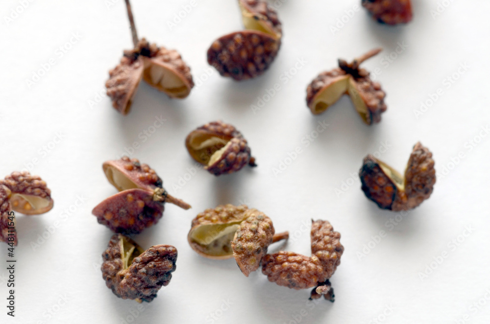 Obraz premium ホアジャオ