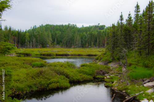 Beautiful and wild lake in the province of Quebec, Canada