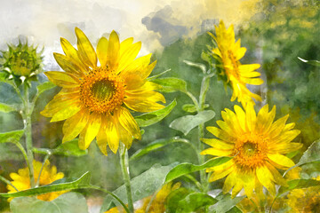 Foto auf Acrylglas Gelb Digital-Aquarellmalerei der schönen Landschaftsbildansicht der Sonnenblume in einem Feld, Japan  © Shootdiem