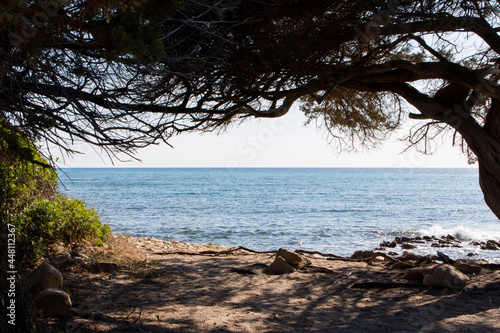 July 23, 2021: Shrubs with a crystal clear sea in the background near the beach, Sardinia