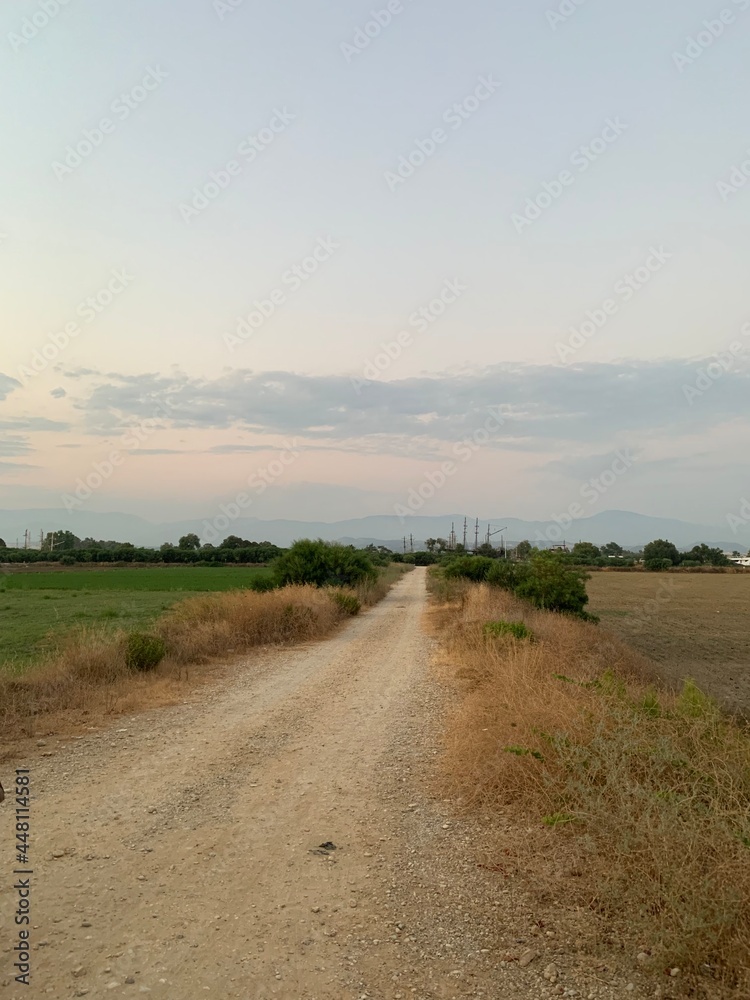Obraz premium road to the sea