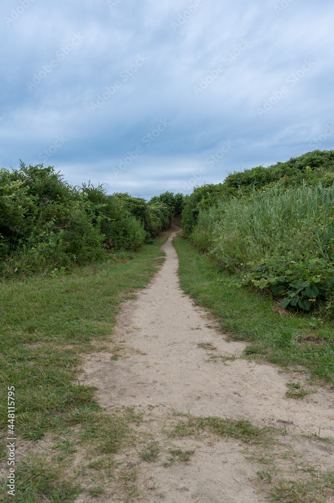 Sandy Beach Path
