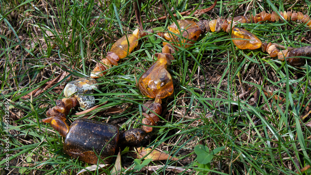 Dark orange Baltic amber beads on the grass. Handmade amber jewelry. Ancient Slavic culture. Dark orange Baltic amber beads on the grass. Handmade amber jewelry. Ancient Slavic culture.