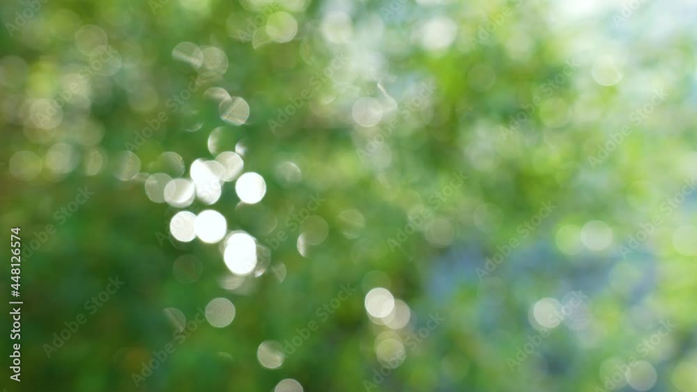 Beautiful green and white gradient pastel natural 4k abstract video bokeh background Beautiful green and white gradient pastel natural 4k abstract video bokeh background
