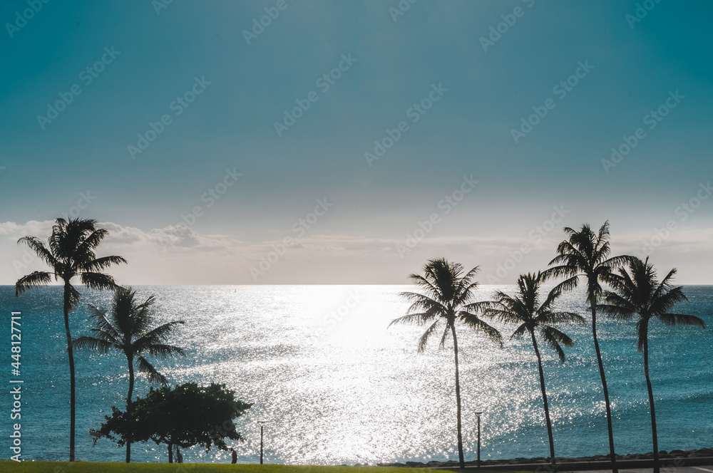Silhouettes of palm trees on ocean beach in Ala Moana Regional Park, Hawaii, Honolulu United States