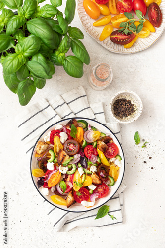 Vegetable salad. Panzanella traditional food of Italy with colorful tomatoes and bread 