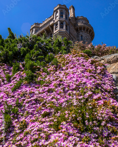 Castle Gardens at St. Michaels Mount in Cornwall, UK