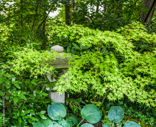 Japanlampe als Grabstein hinter schönem grün