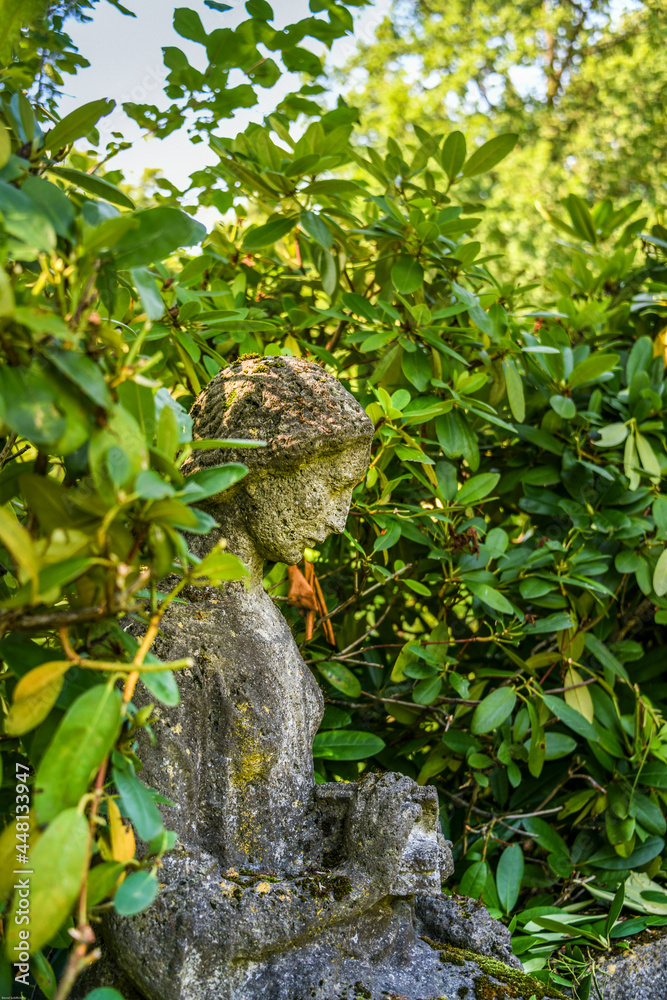 Trauernde Frau im Rhododendron Strauch Trauernde Frau im Rhododendron Strauch