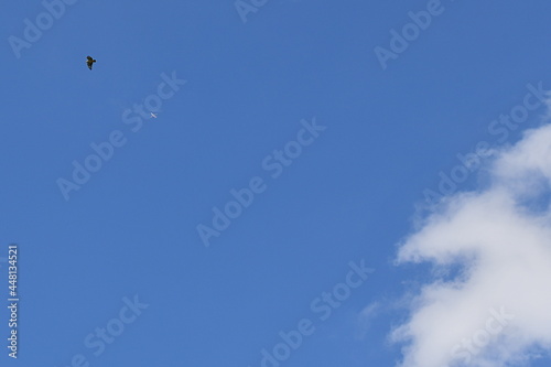 Wallpaper Mural ciel Torontodigital.ca