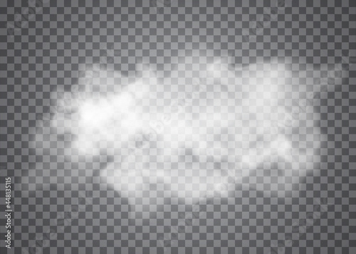 Fog or smoke isolated transparent special effect. White vector cloudiness, mist or smog background. 