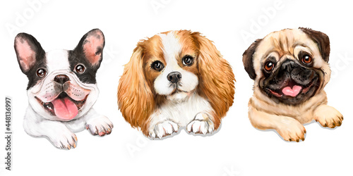 Watercolor illustration with dogs, set of three dogs, french bulldog, king charles cavalier spaniel, pug