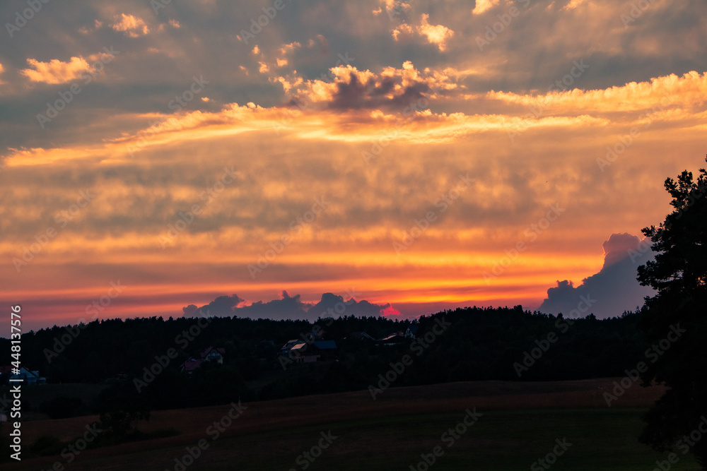 Fototapeta premium sunset in the field