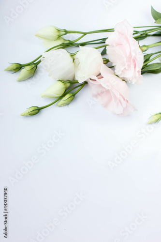 Bouquet of eustoma. Eustoma flowers isolated on white background