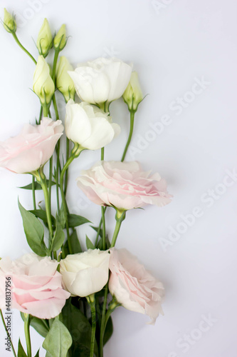 Bouquet of eustoma. Eustoma flowers isolated on white background