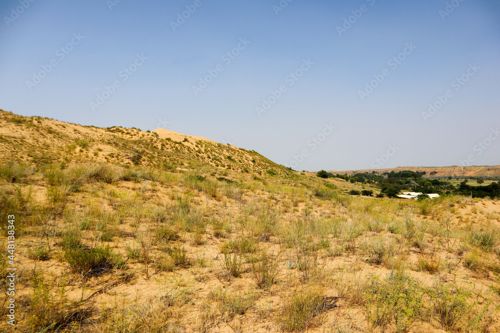 landscape in the desert - sand dune slopes covered by grass landscape in the desert - sand dune slopes covered by grass