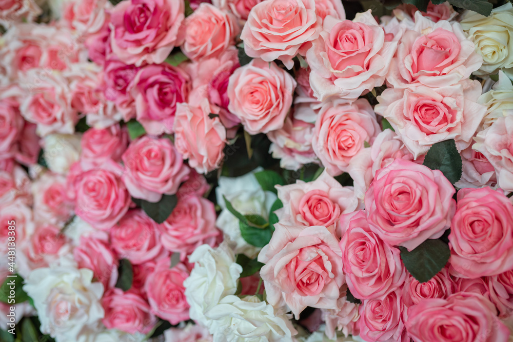 Rose flower pattern background selective focus Rose flower pattern background selective focus