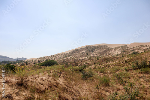 landscape in the desert - sand dune slopes covered by grass