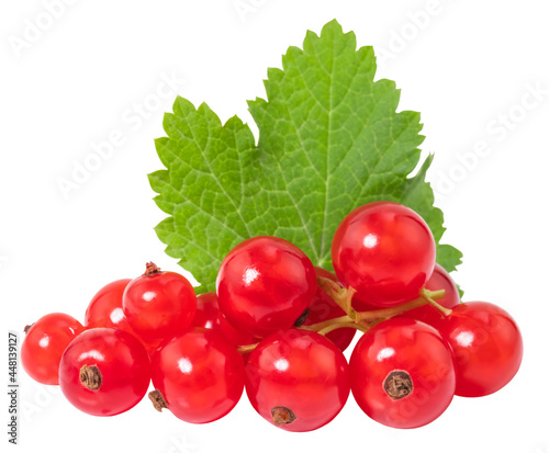 red currant isolated on the white background