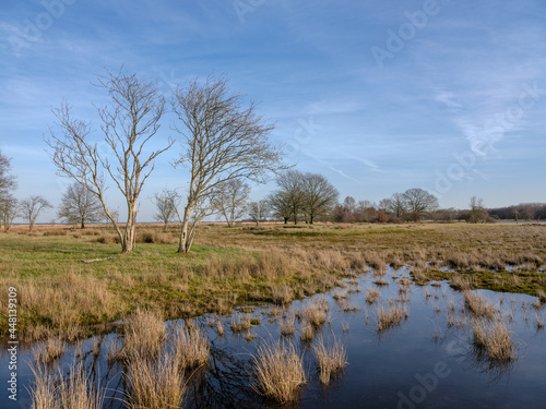 Dwingelderveld near Dwingeloo and Ruinen, Drenthe Province, The netherlands